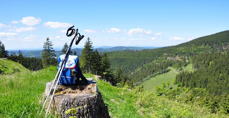 Les activités du camping les Bouldouïres : camping La Salvetat-sur-Agoût